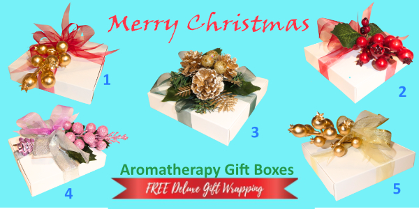 Aromatherapy Deluxe Gift Wrapping Christmas Promotion